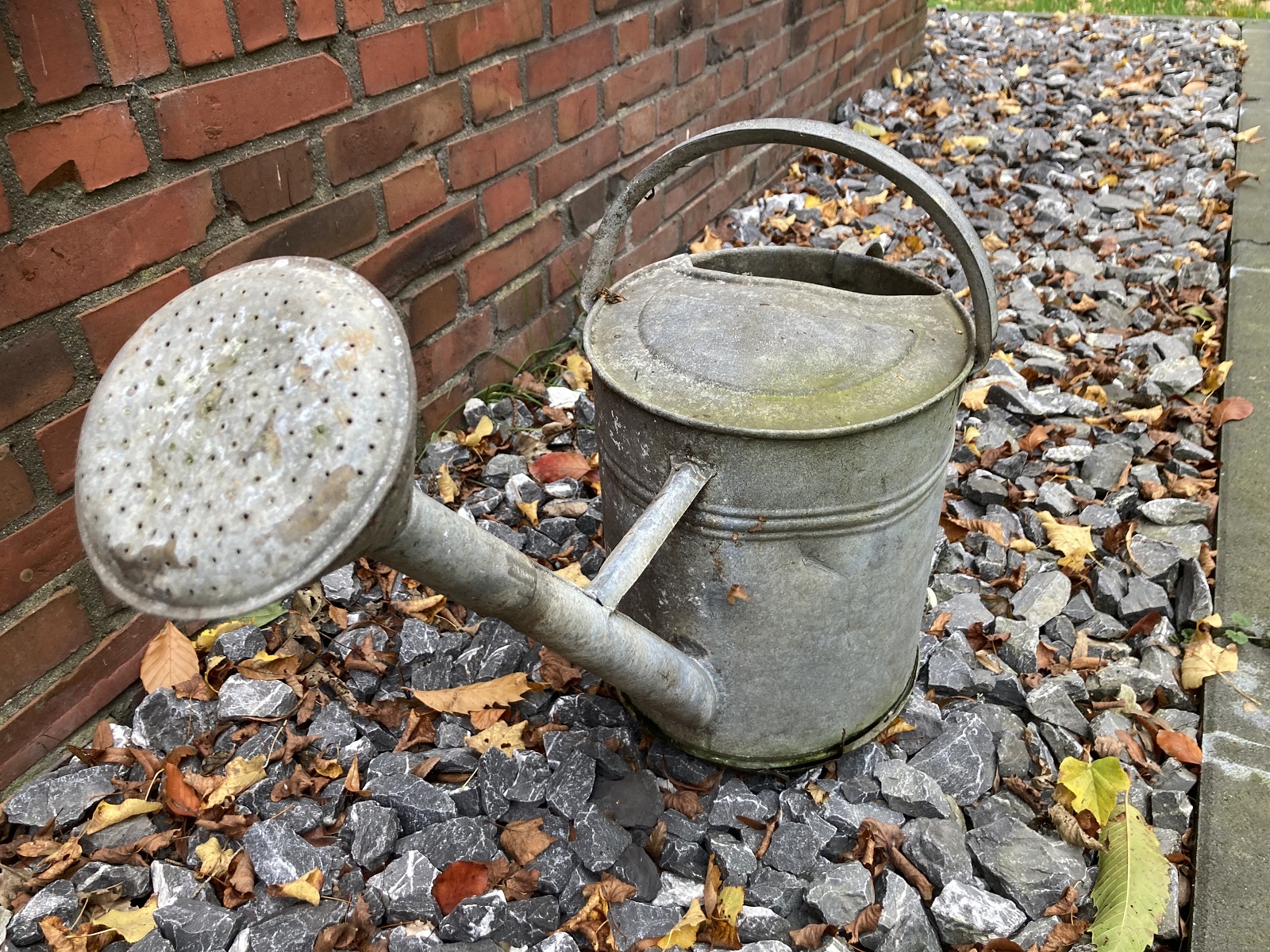 Volgieteren
